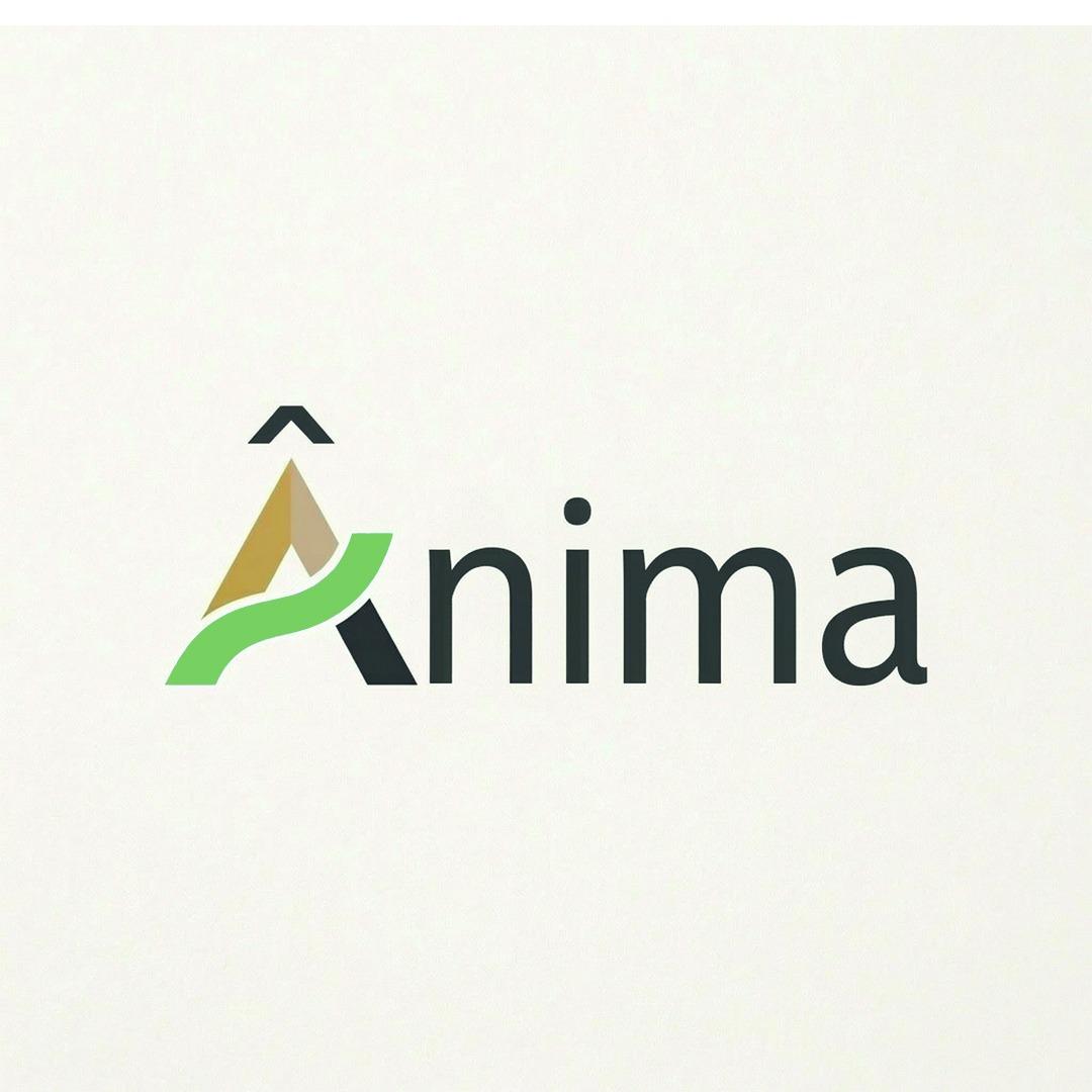 Anima Consultoria